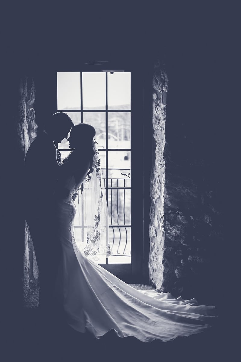 Whimsical Silhouette Dress